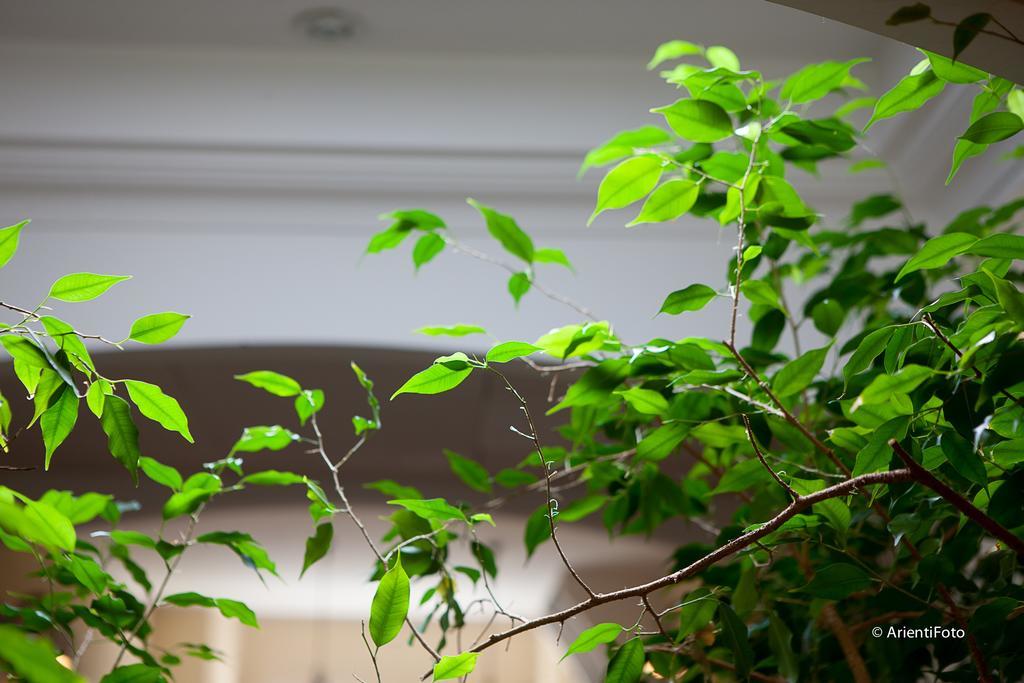 Albergo Del Lago Capalbio Exterior photo
